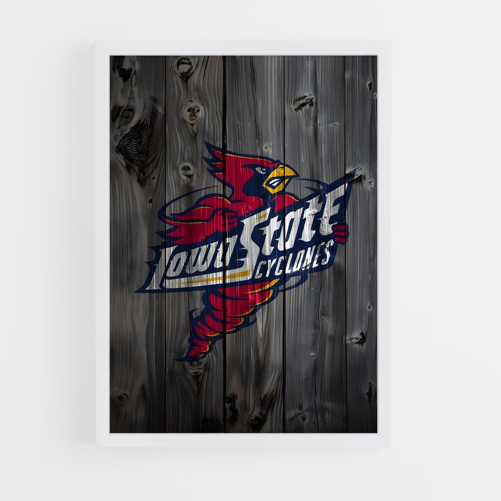 Poster Cyclones en Fête – affiche Basketball (vue 3)